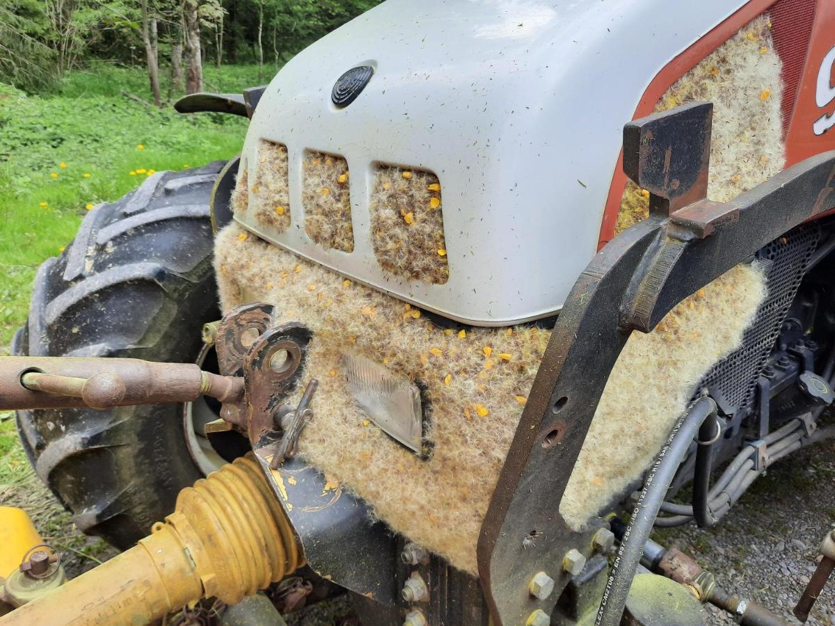 Appartamento Voegelhof Doren Esterno foto