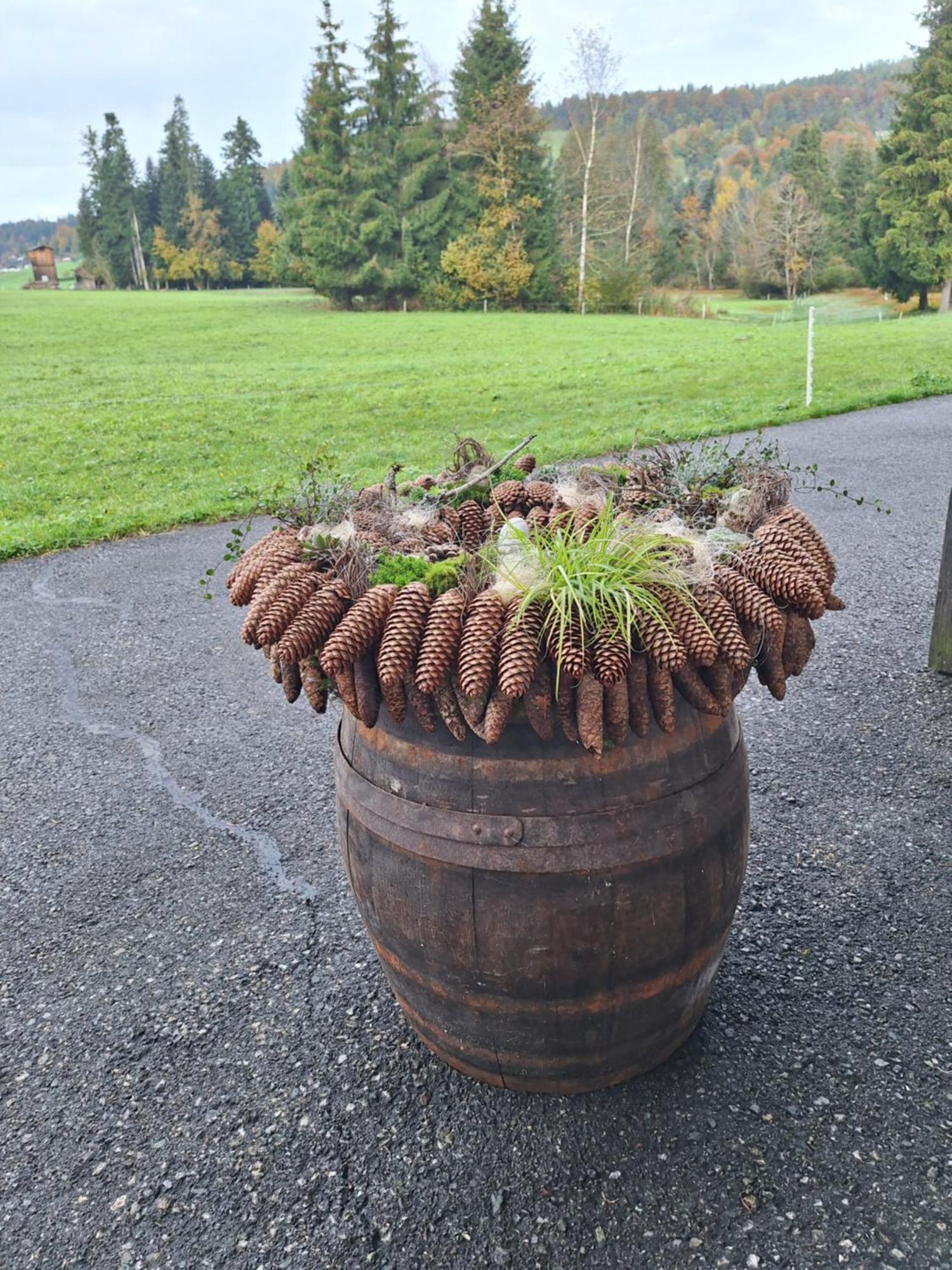Appartamento Voegelhof Doren Esterno foto
