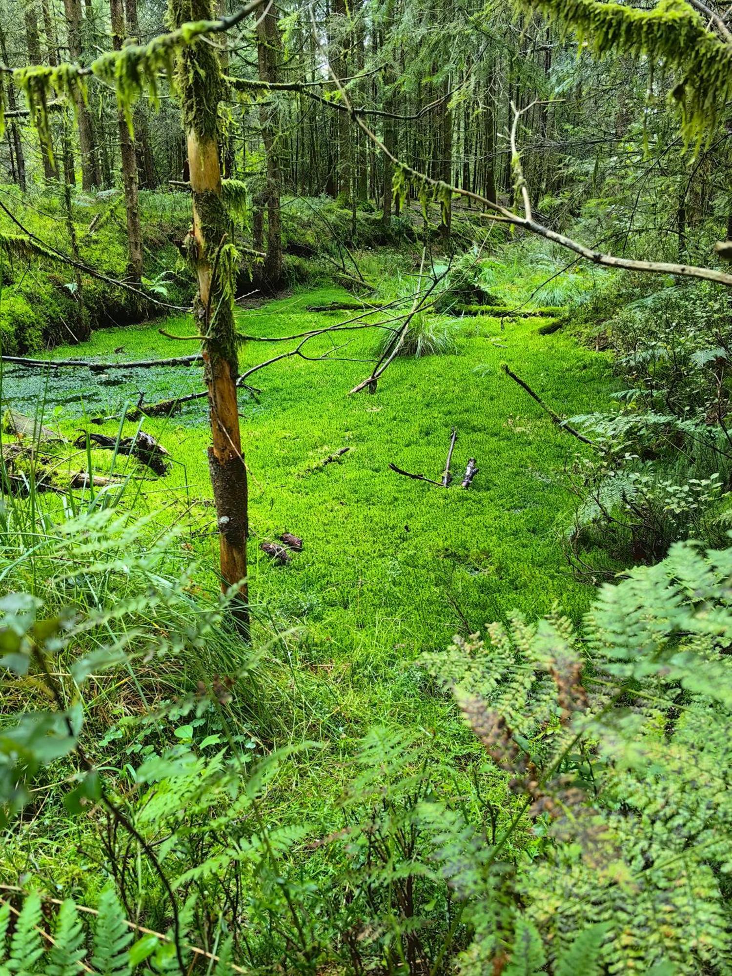 Appartamento Voegelhof Doren Esterno foto