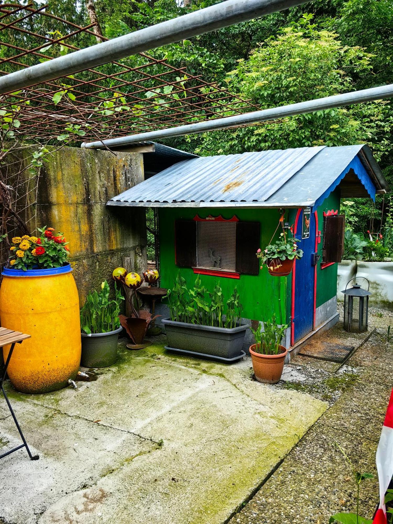 Appartamento Voegelhof Doren Esterno foto