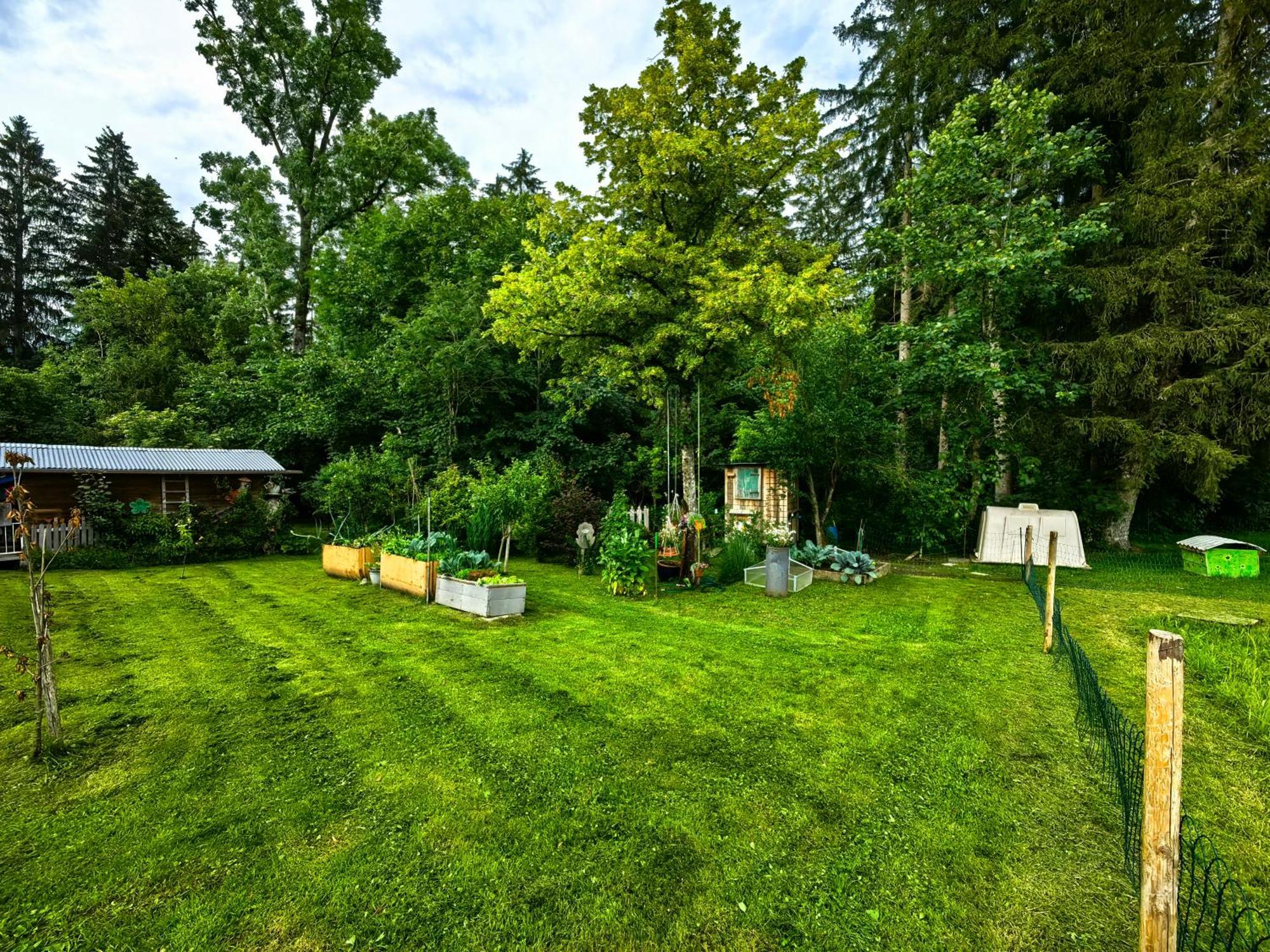 Appartamento Voegelhof Doren Esterno foto