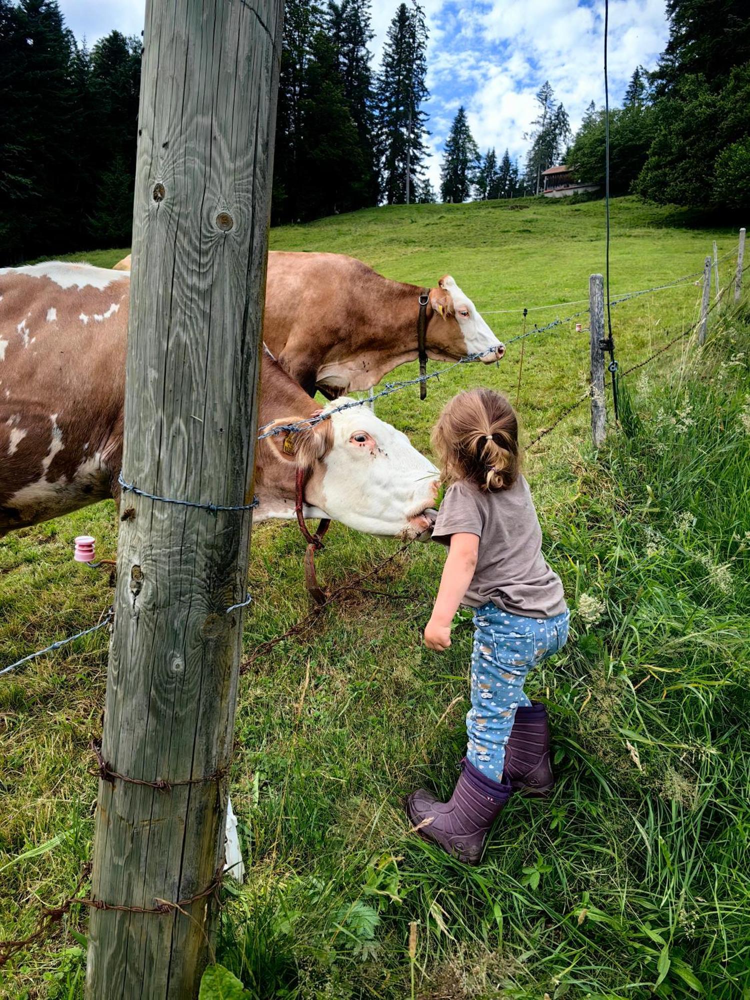 Appartamento Voegelhof Doren Esterno foto