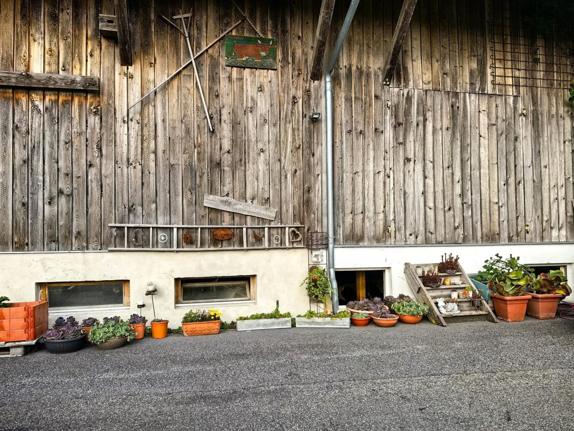 Appartamento Voegelhof Doren Esterno foto