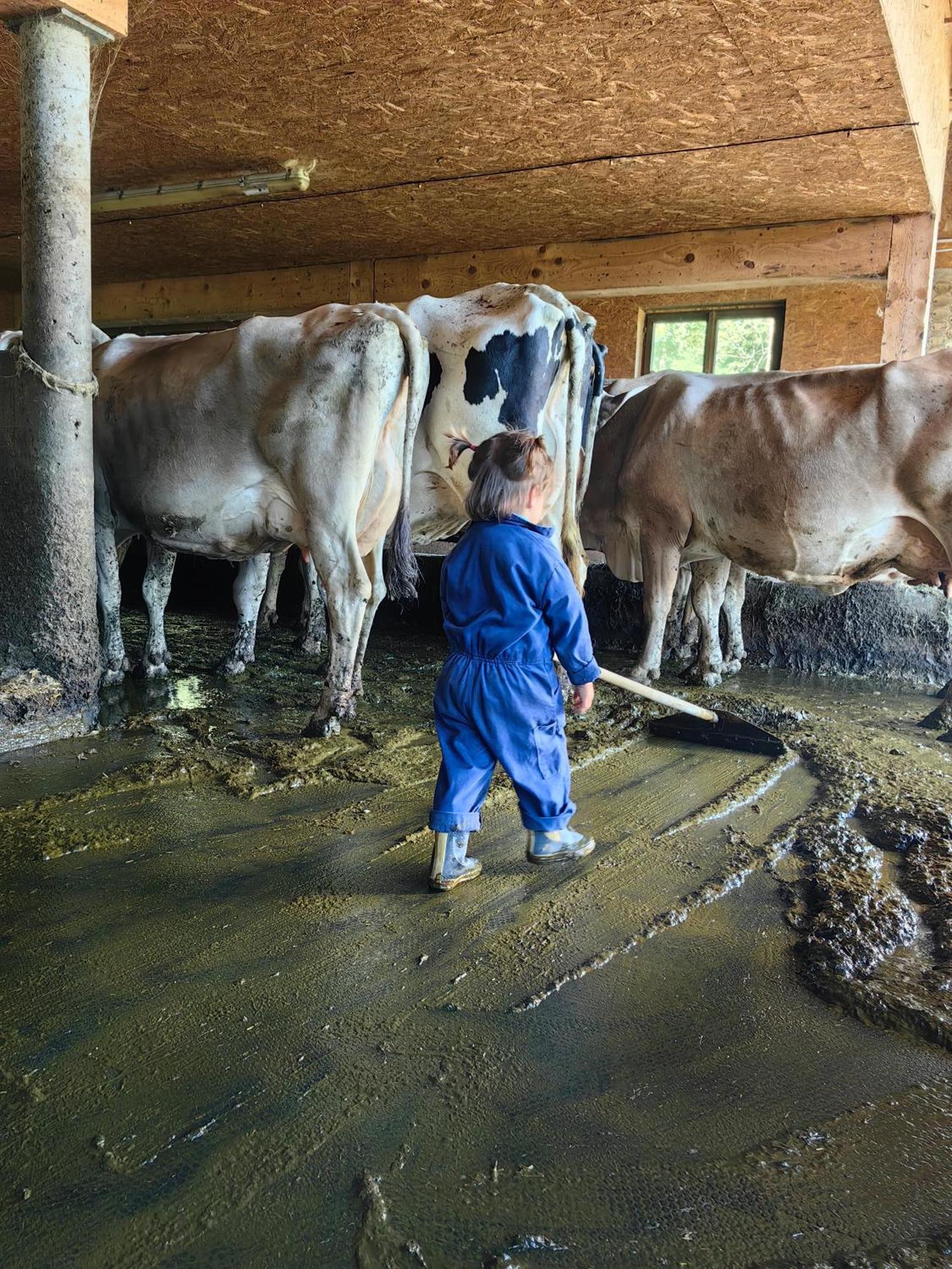 Appartamento Voegelhof Doren Esterno foto