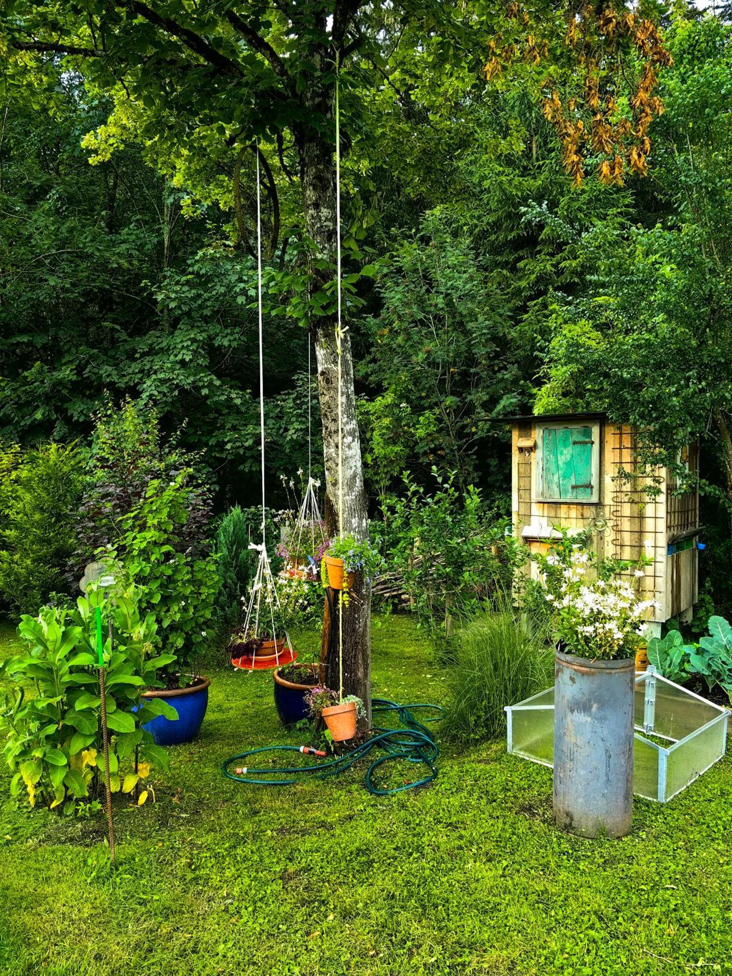 Appartamento Voegelhof Doren Esterno foto