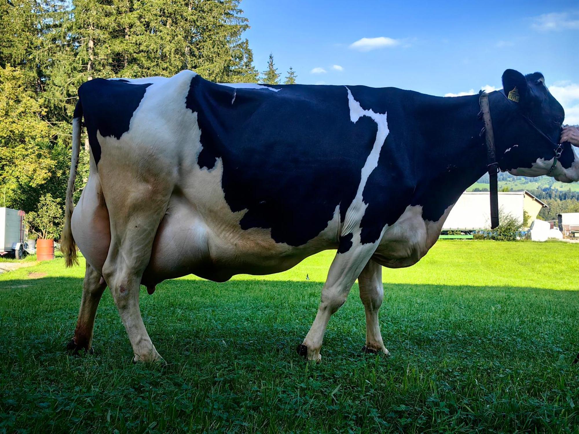 Appartamento Voegelhof Doren Esterno foto