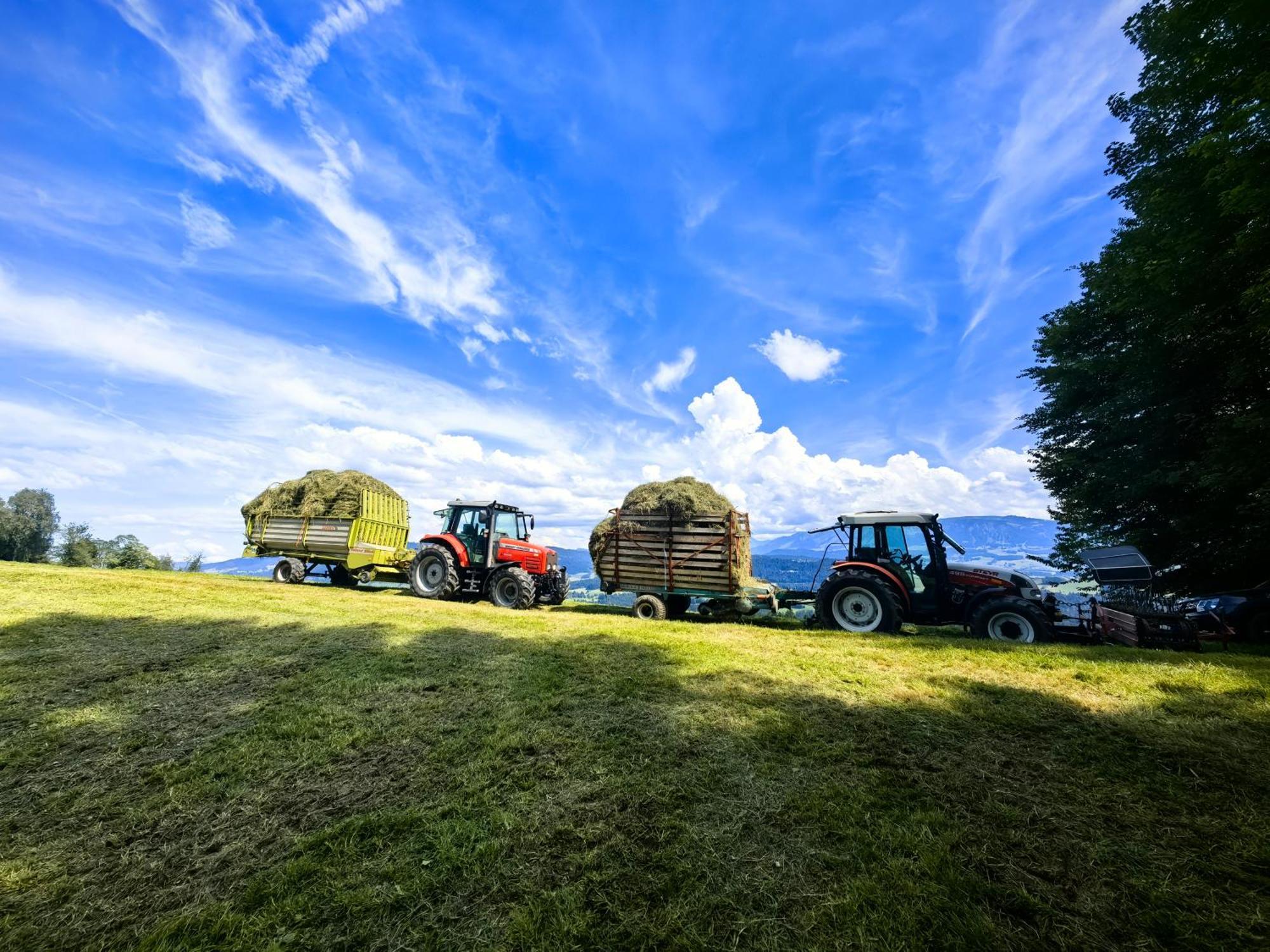 Appartamento Voegelhof Doren Esterno foto