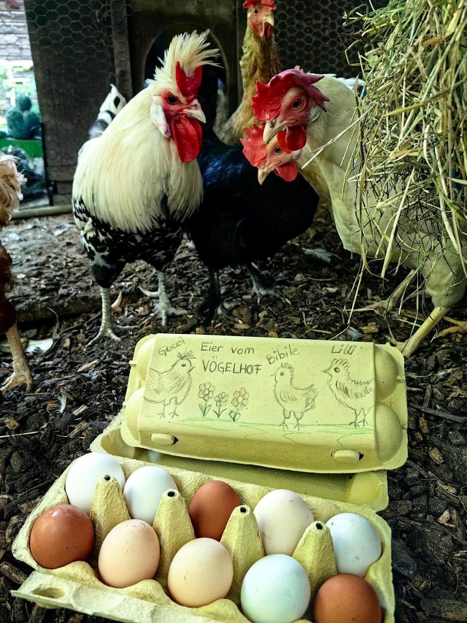 Appartamento Voegelhof Doren Esterno foto