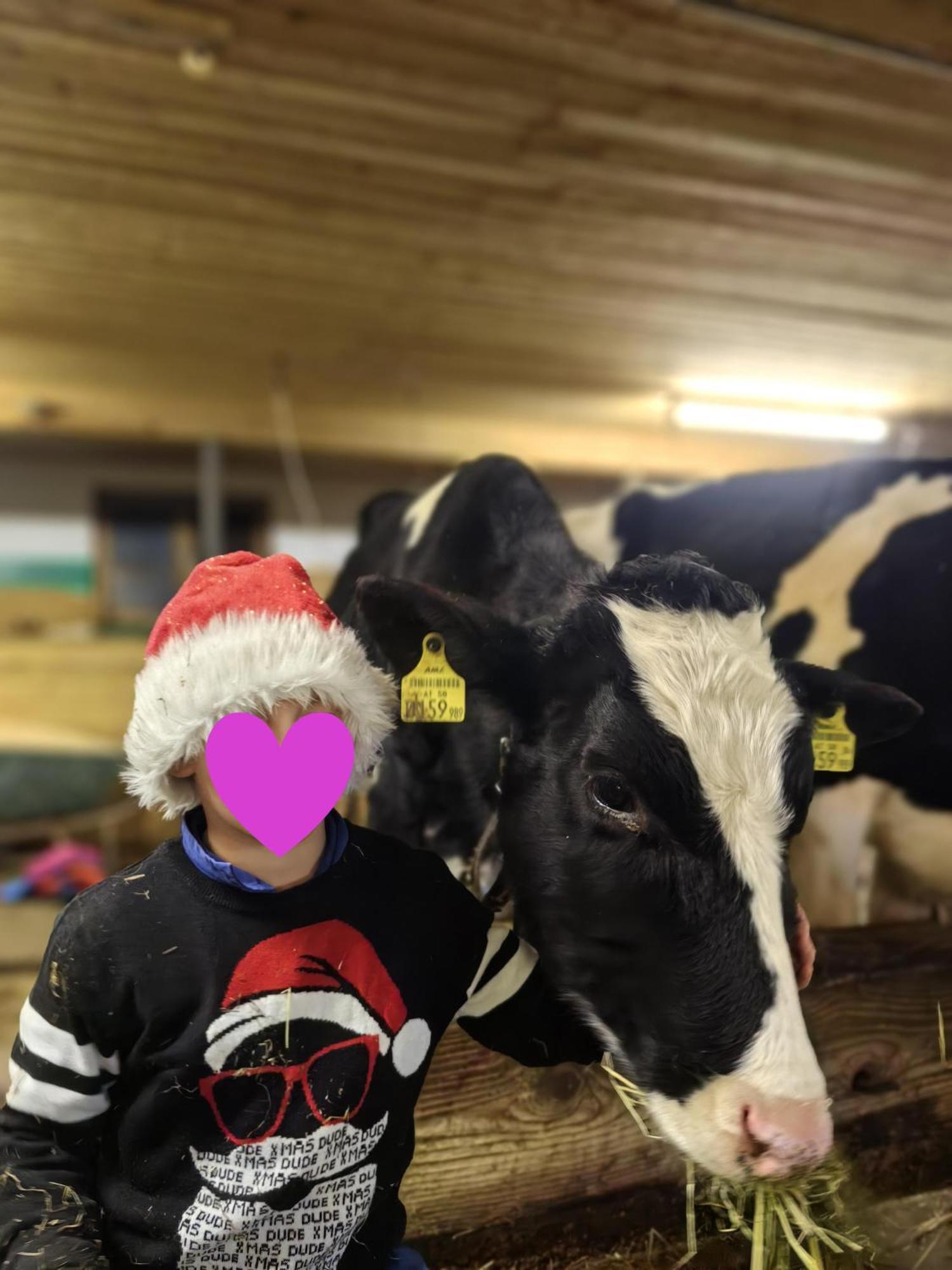 Appartamento Voegelhof Doren Esterno foto