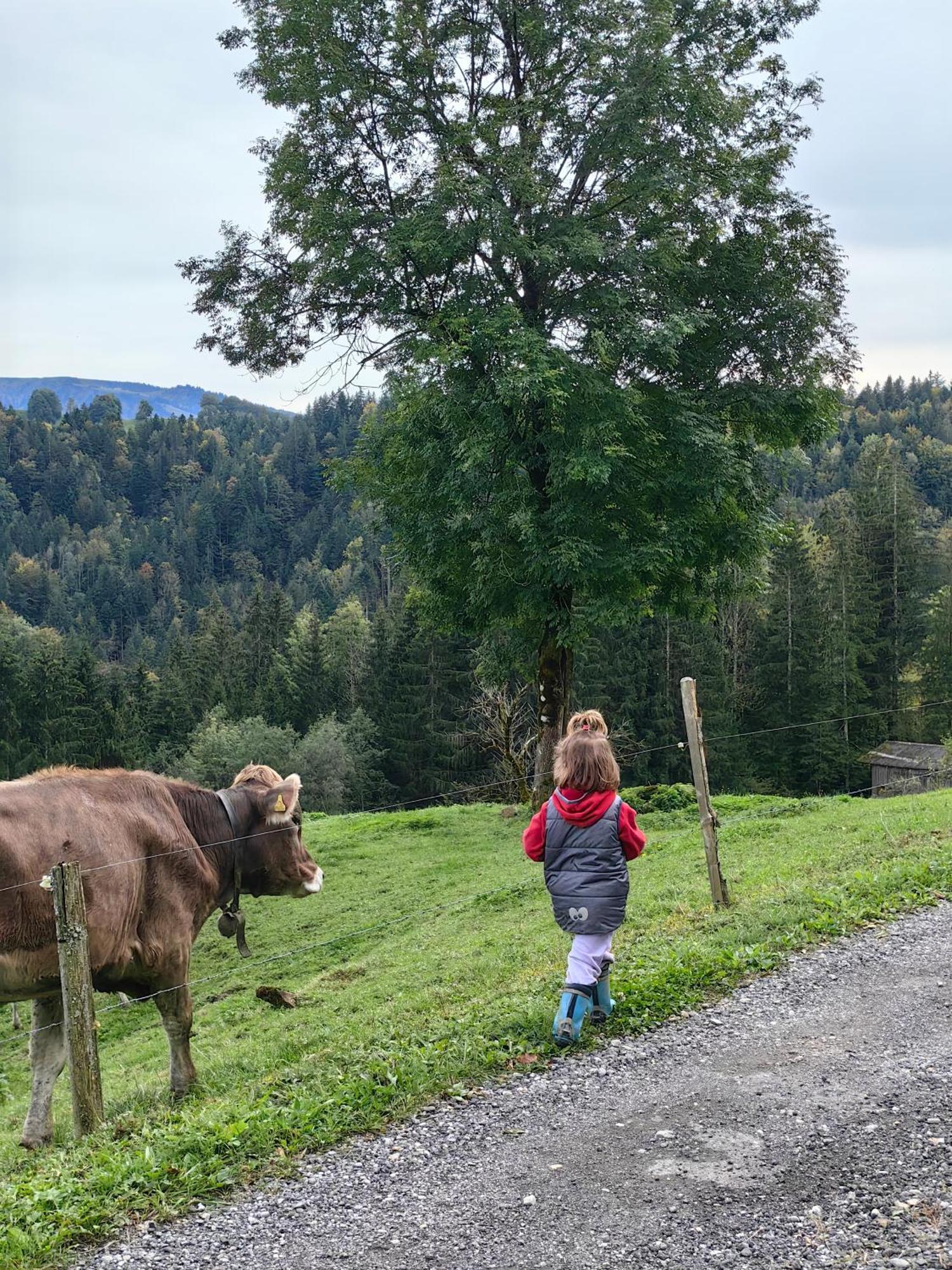 Appartamento Voegelhof Doren Esterno foto