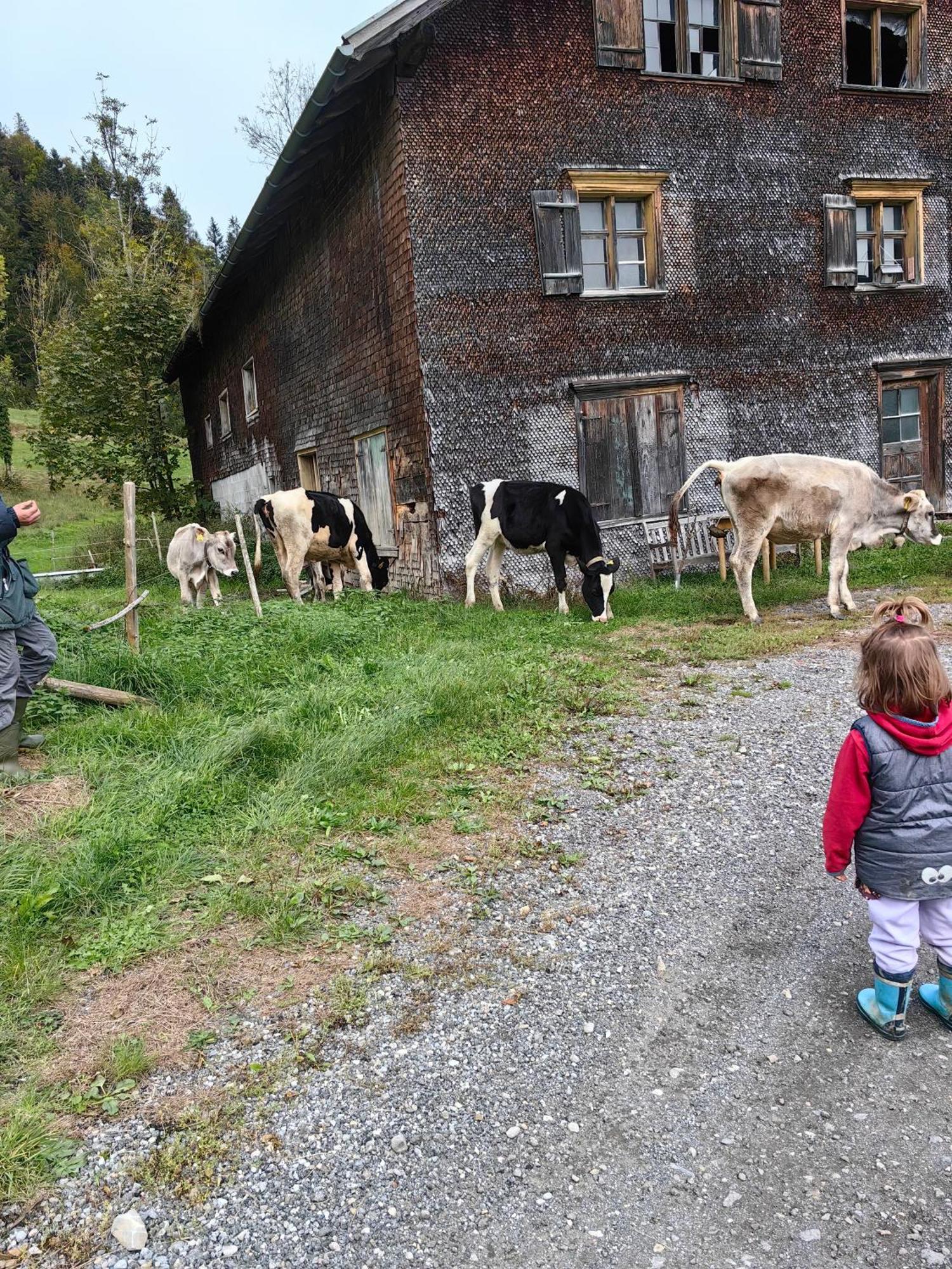Appartamento Voegelhof Doren Esterno foto